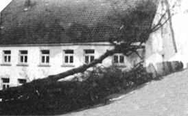 haus-oelbrink-nr9