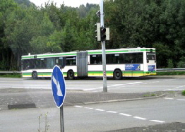 IMG_1311 IMG_1311