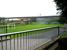 IMG_1334 IMG_1334