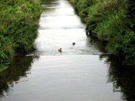IMG_1337 IMG_1337