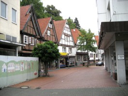 IMG_1351 IMG_1351