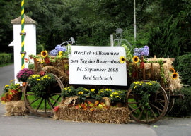 IMG_1499 IMG_1499